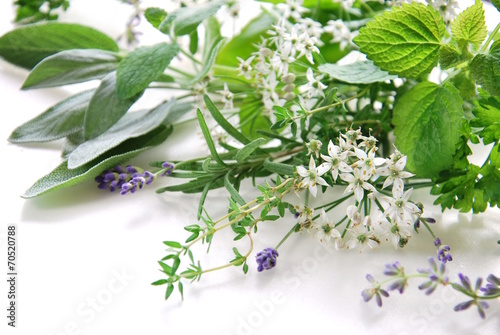 herbs