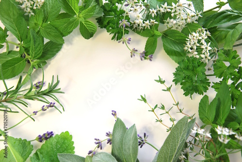 frame of herbs