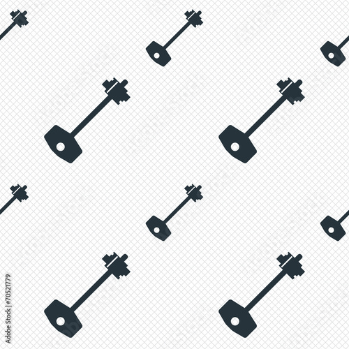Key sign icon. Unlock tool symbol. © blankstock
