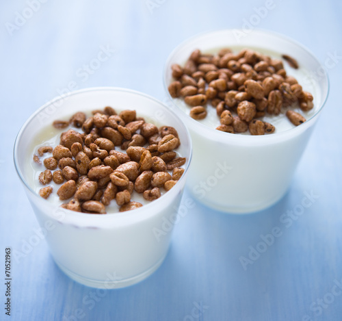 Cups of yogurt with cereals (healthy breakfast)