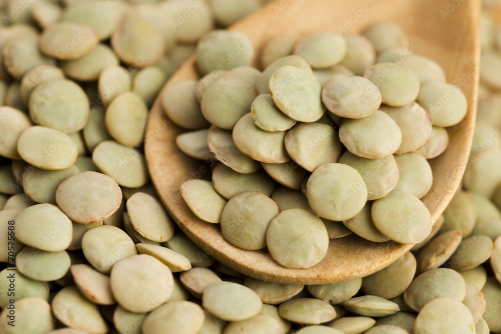 Dry Organic Green Lentils Dry Organic Green Lentils