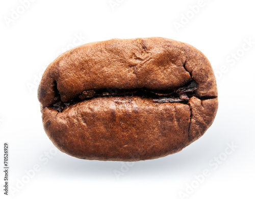 coffee grain isolated on a white background