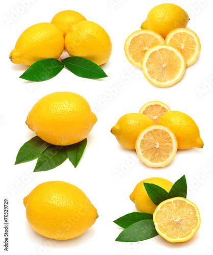 Collection lemon with leaves