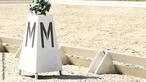 Horse Dressage Rings and a rider