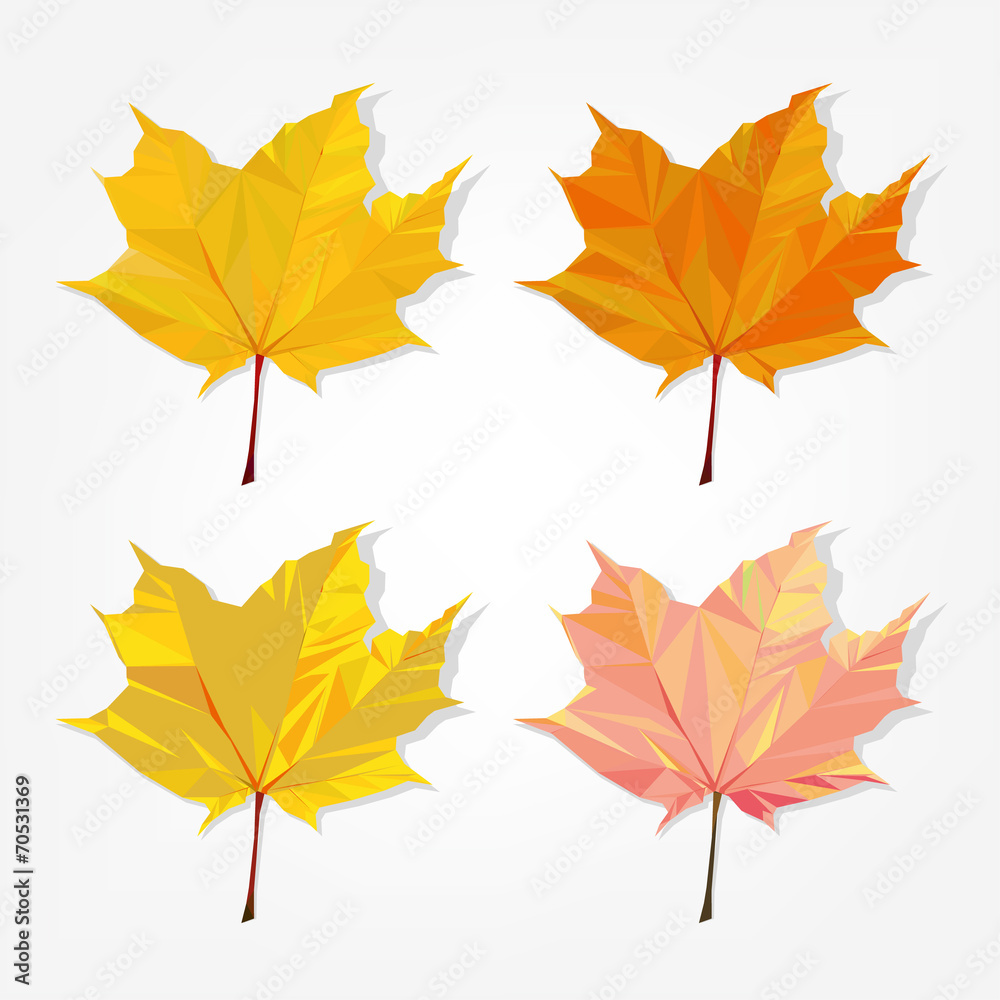 Polygonal maple leaves Polygonal maple leaves