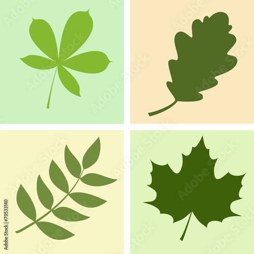 a set of four different leaves vector illustration