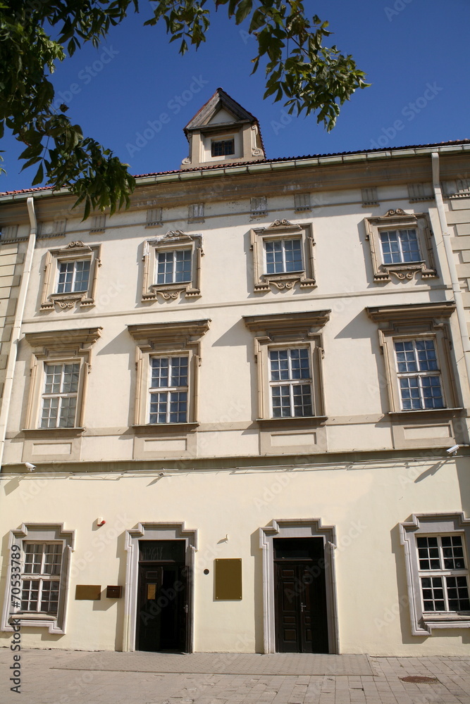 Radvilos Palace Museum