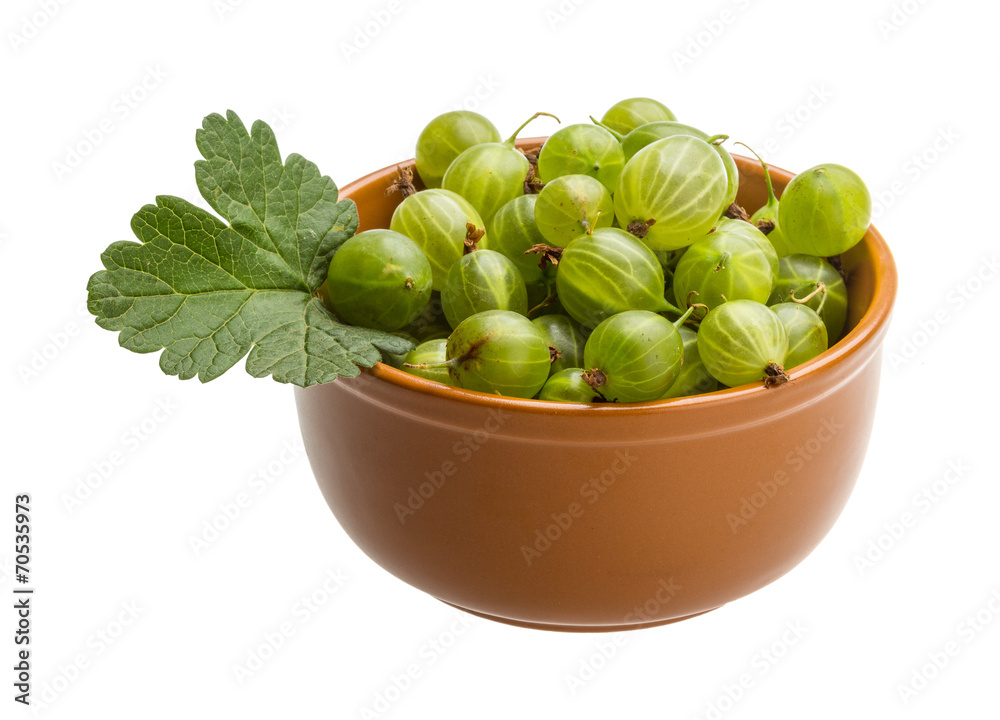 Gooseberry Gooseberry