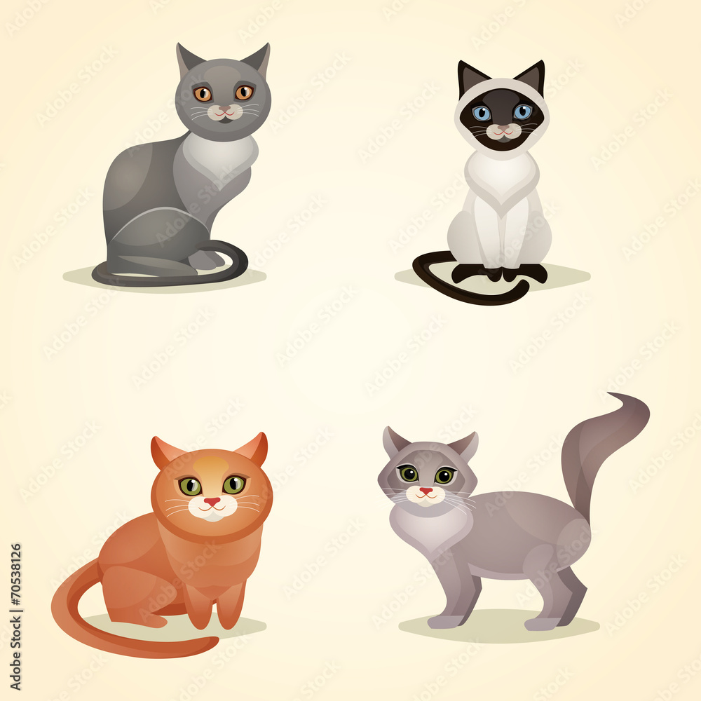 Cat set isolated