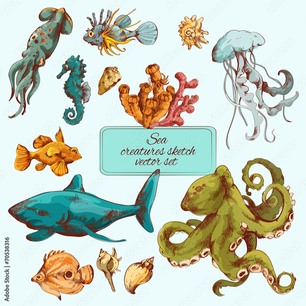 Fototapeta premium Sea creatures sketch colored