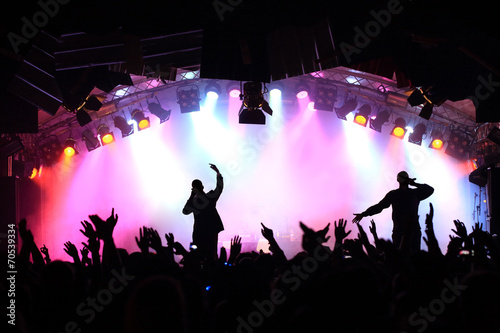 Cheering crowd at a concert