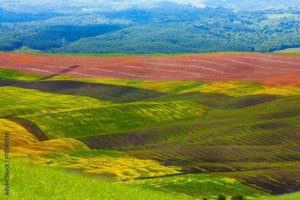 Tuscany colourful agriculture hills Italy
