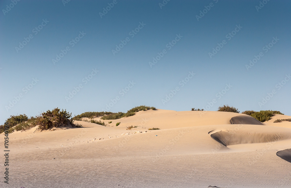 Souss Masa National Park