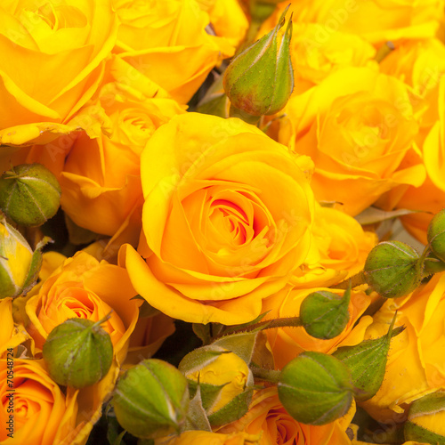 close up of yellow roses on the market