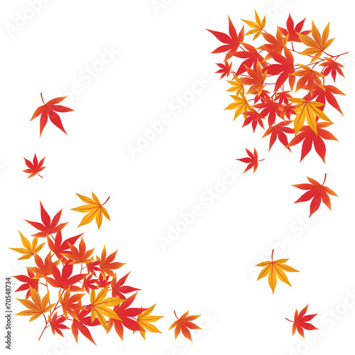 秋　紅葉