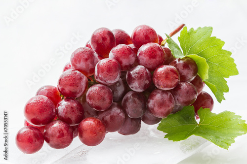 grape on a white background