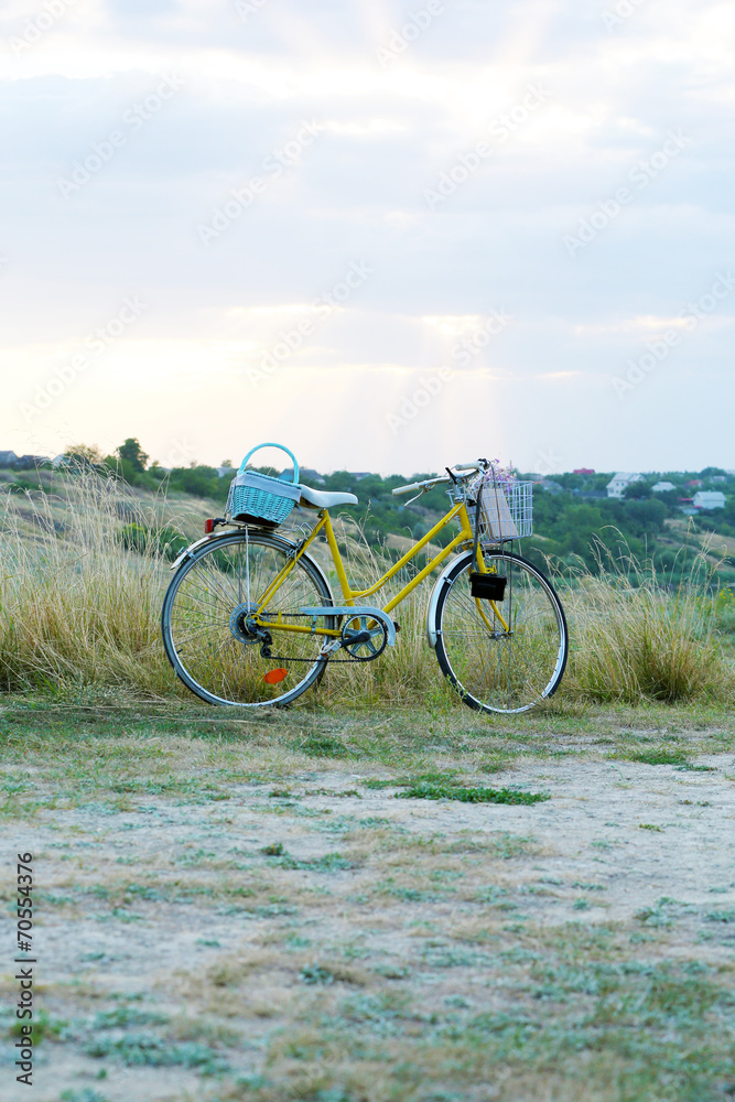 Fototapeta premium Bicycle in meadow during sunset