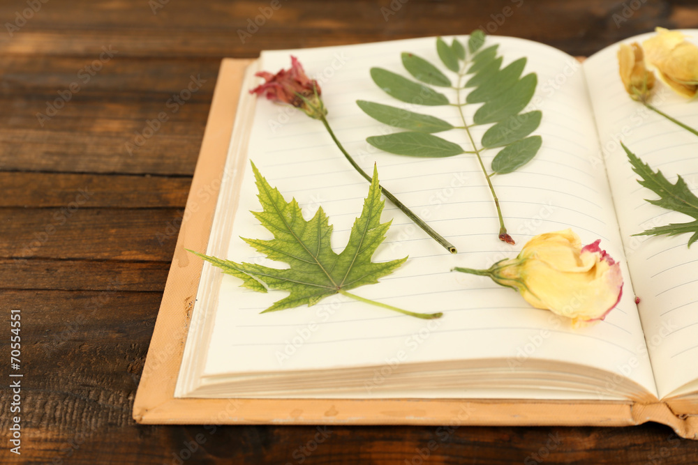 Dry up plants on notebook on wooden background Dry up plants on notebook on wooden background