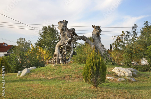 Wooden sculpture in Gevgelija. Macedonia