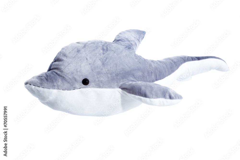 Obraz premium Isolierter und freigestellter Delphin auf Weiß