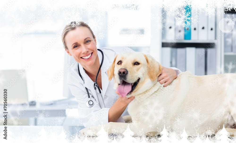Composite image of female veterinarian examining dog