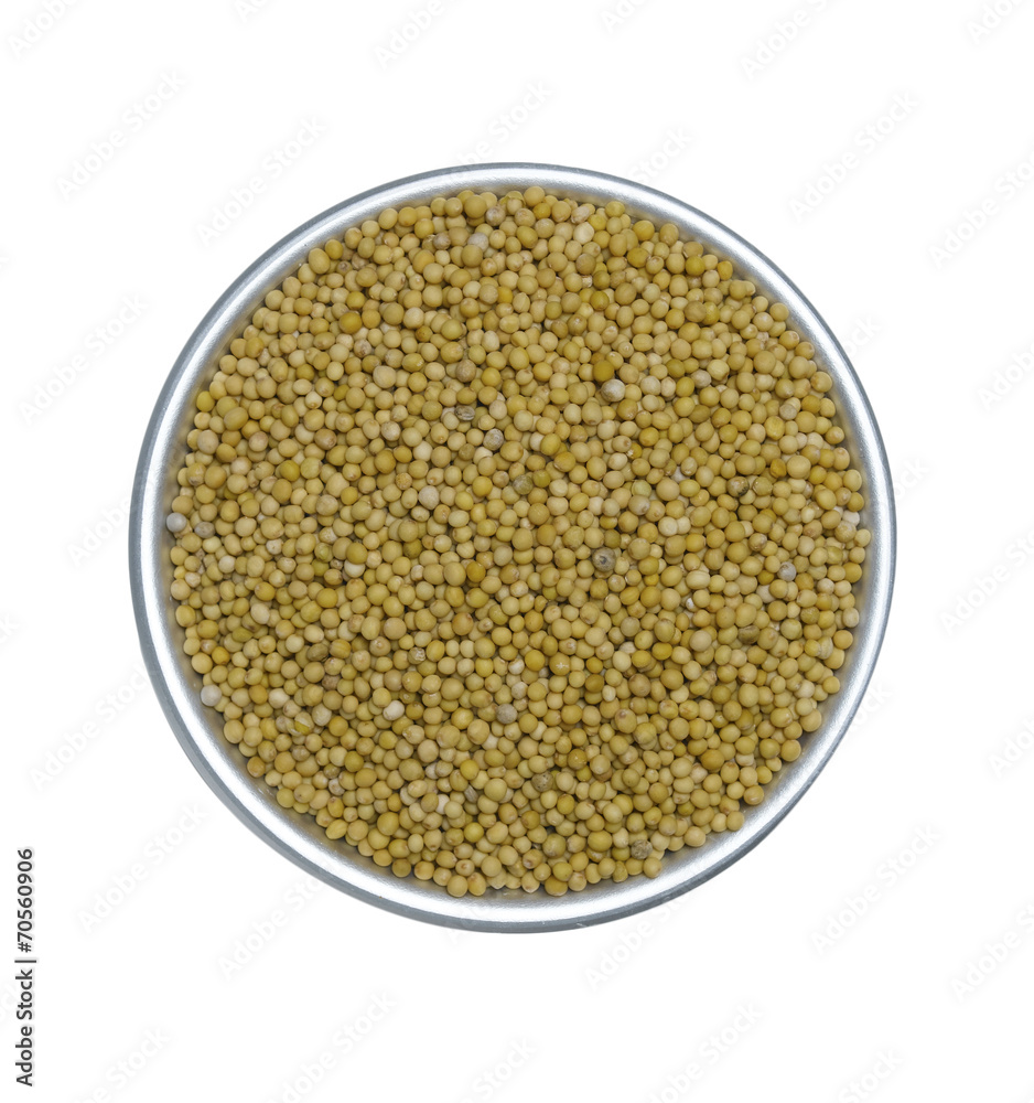 Mustard Seed Mustard Seed