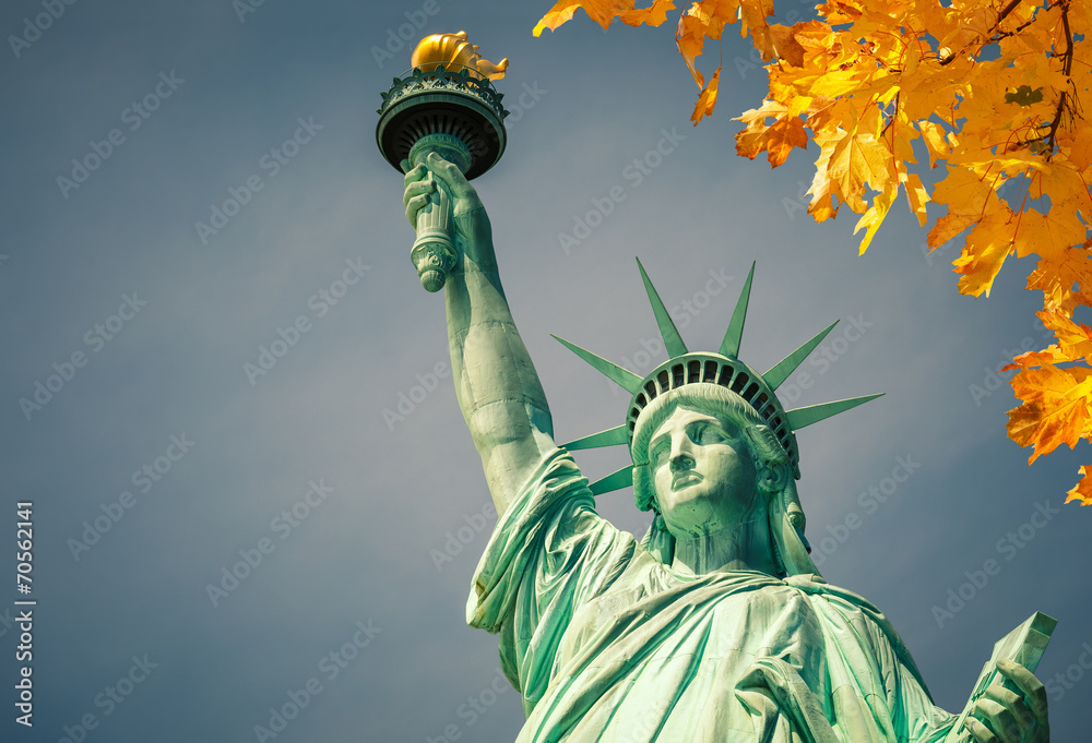 Fototapeta premium Statue of Liberty