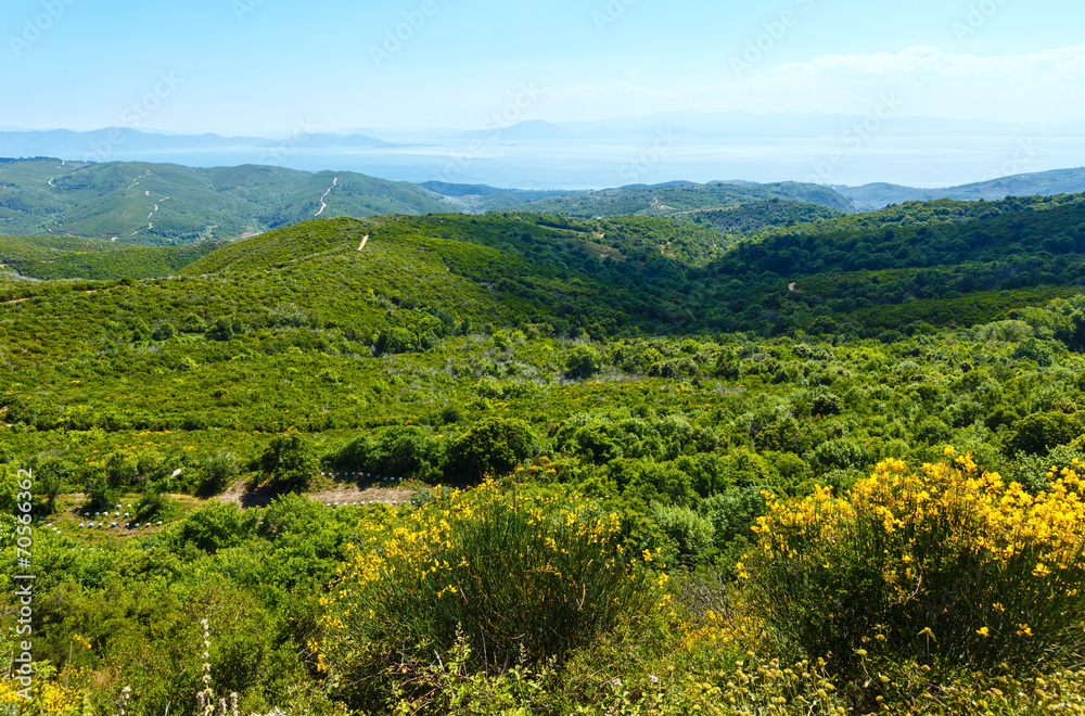 Summer view from top of the hill (Greece)