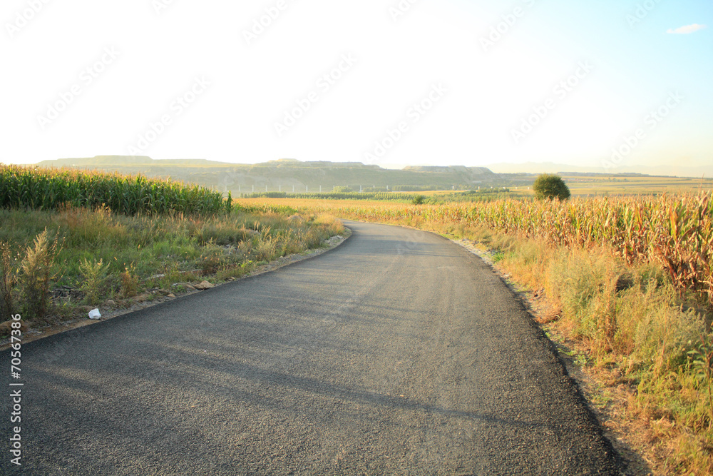 Country side road