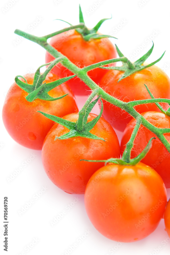 Closeup of cherry tomatoes on the vine Closeup of cherry tomatoes on the vine
