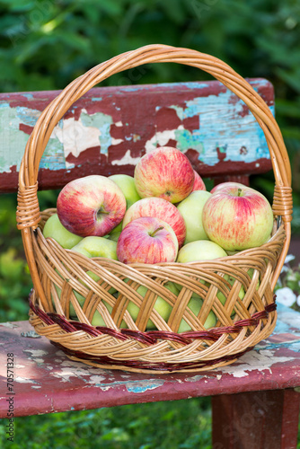 Apples in  basket
