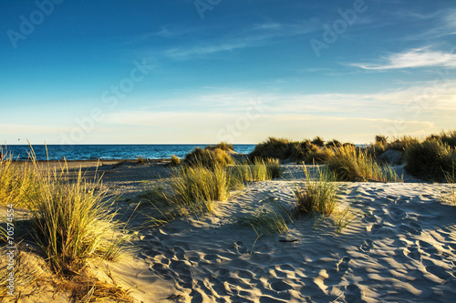 Fototapeta Naklejka Na Ścianę i Meble -  plage et dunes