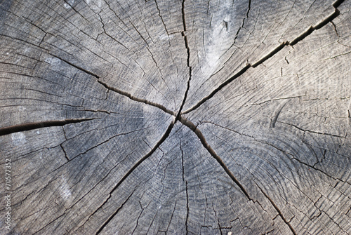 cracked wooden background