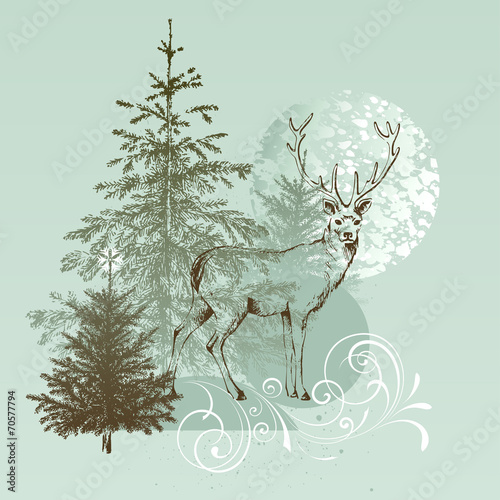 North Deer