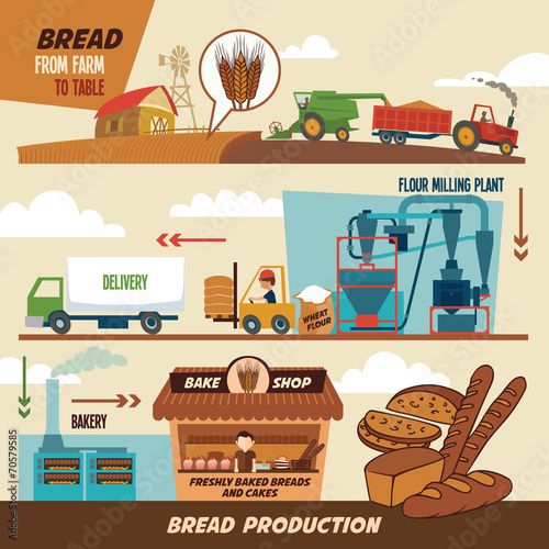 Bread production stages