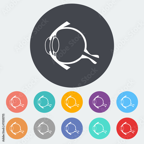 Anatomy eye.
