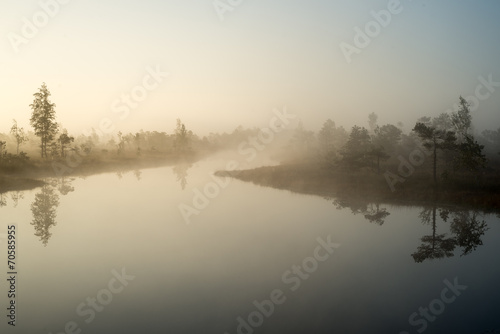 Beautiful tranquil landscape of misty swamp lake