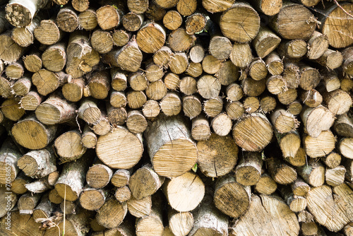 stacked firewood of spruce in the forest