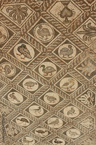 Bird Mosaic Floor from Ancient Delphi