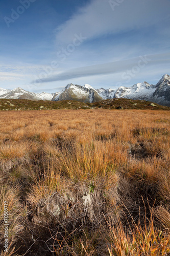 Fall in the Alps