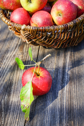 Korb mit frischgepflückten Äpfeln auf altem Holztisch