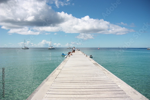 Piscine Martiniquaise