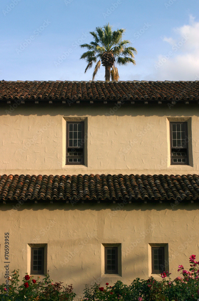 Palm Tree and Building