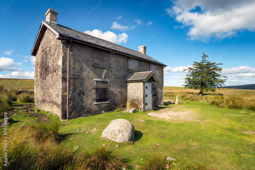 Obraz premium Dartmoor National Park