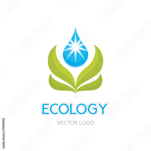 Ecology logo concept. Leaves and drop illustration. photo