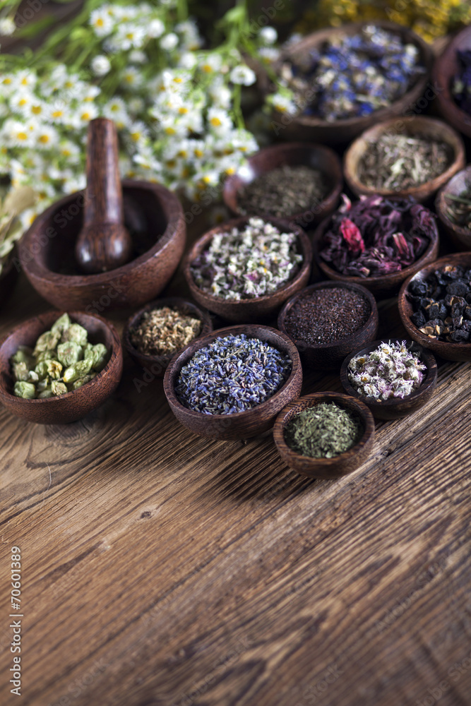 The ancient Chinese medicine The ancient Chinese medicine