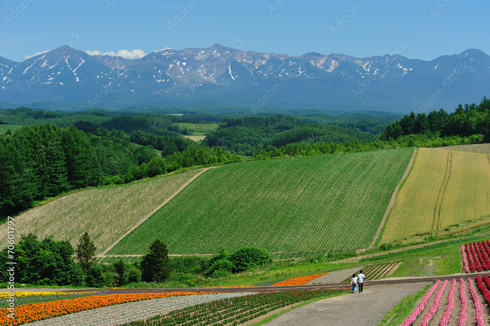 Couple at famous flower garden of Hokkaido