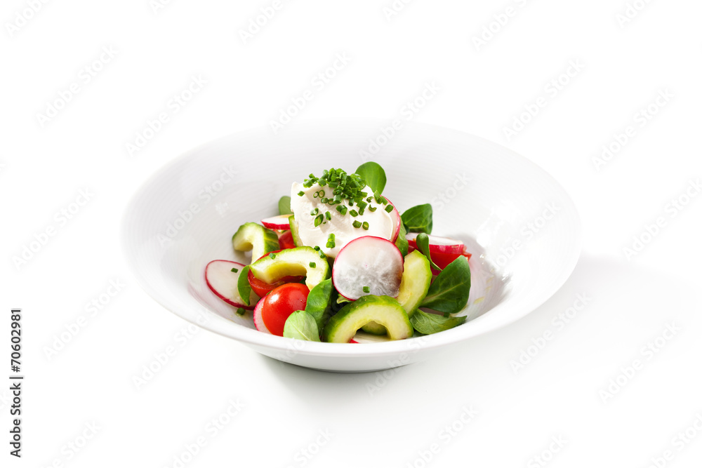 Freshness Salad Freshness Salad