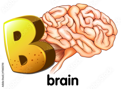 A letter B for brain