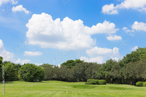 Fototapeta Naklejka Na Ścianę i Meble -  green grass field and blue sky,park in the city